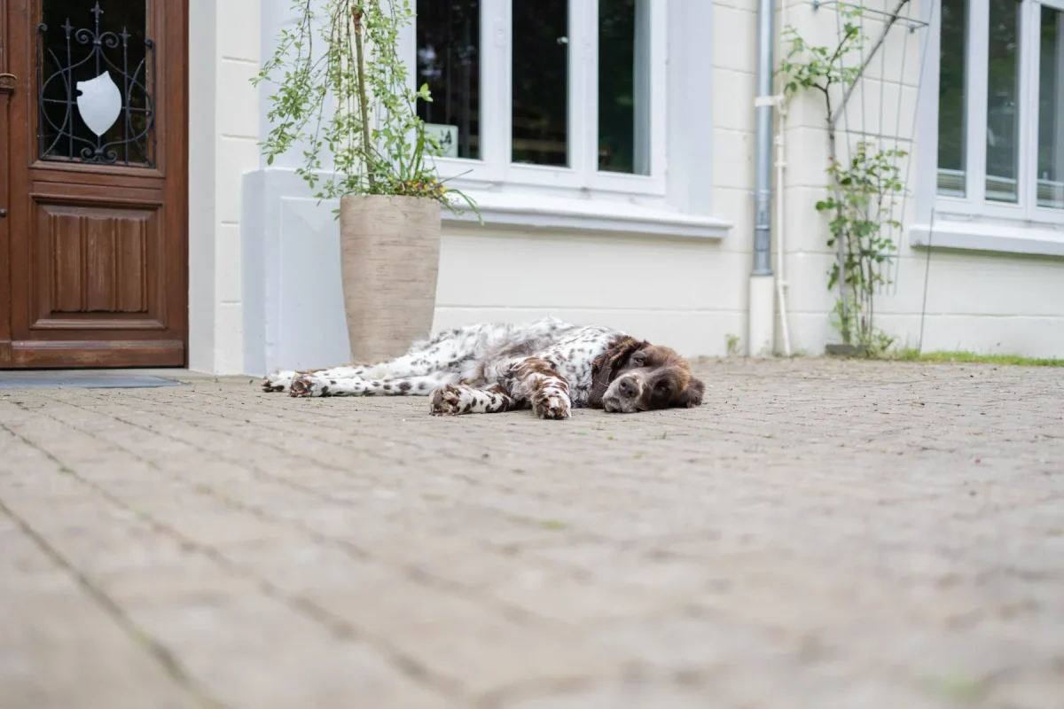 Eingang zum Gutshaus Hundsmühlen