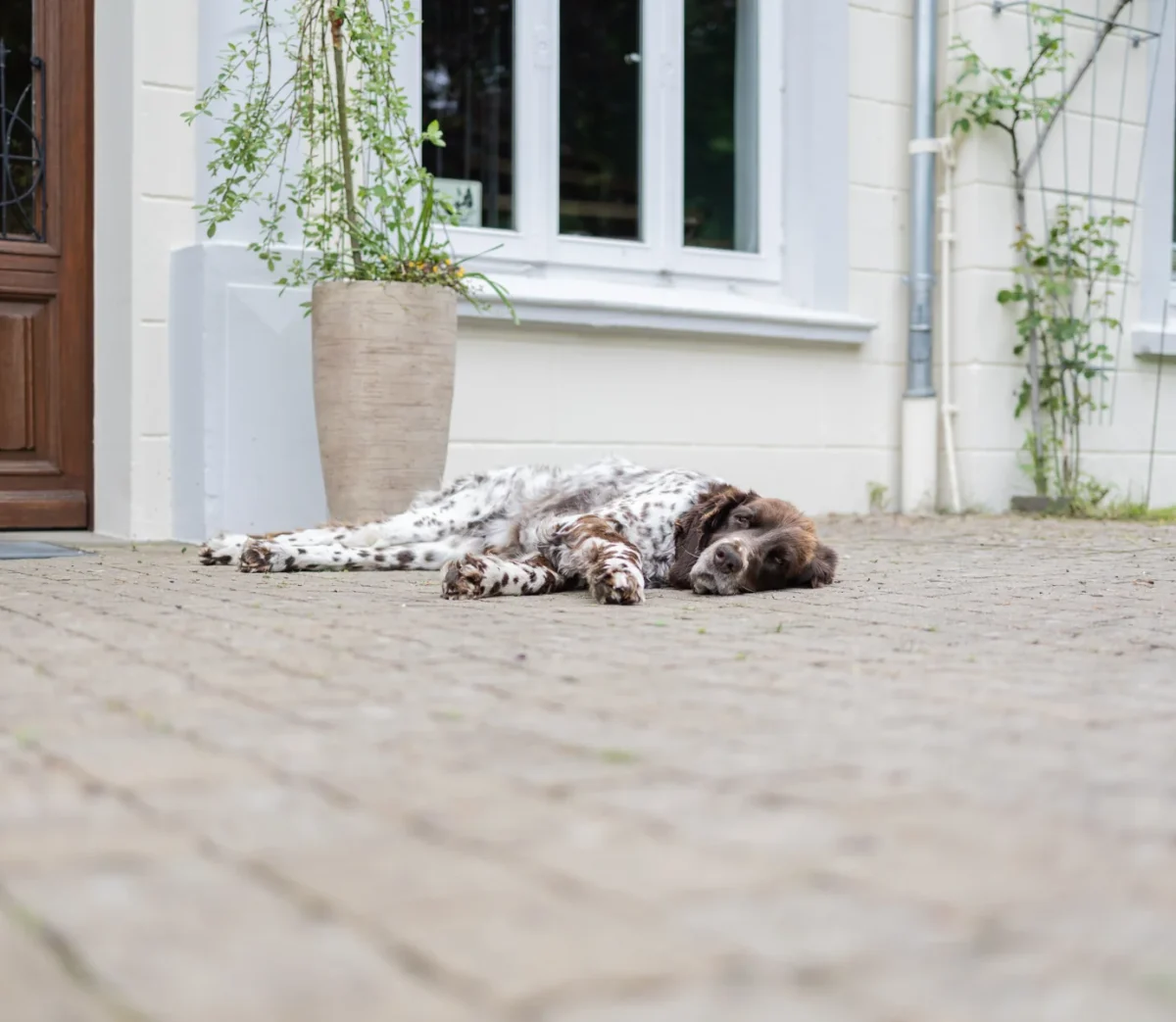 Eingang zum Gutshaus Hundsmühlen
